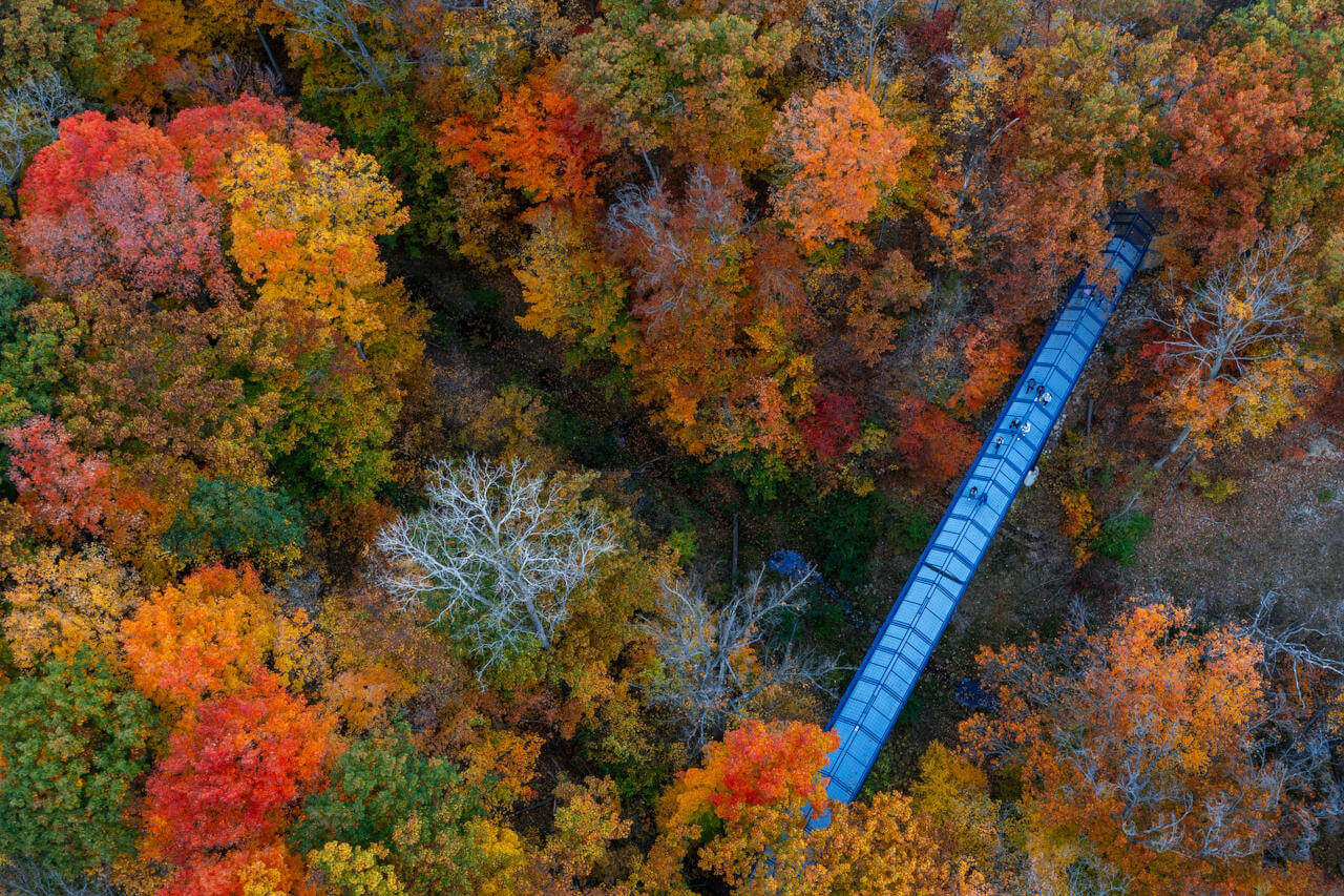 Fall trees surround the Little Mac Bridge on the Valley Campus.